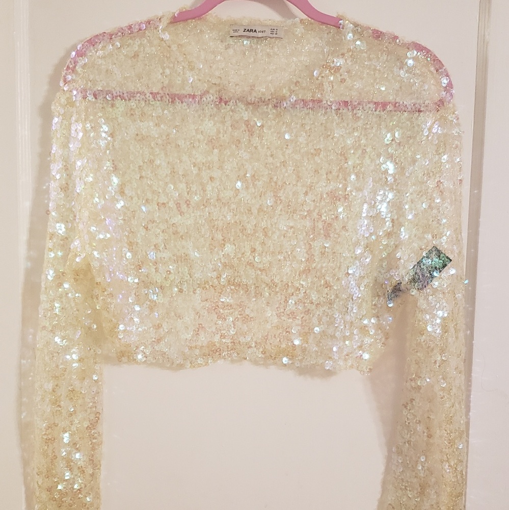 Zara Sequin top